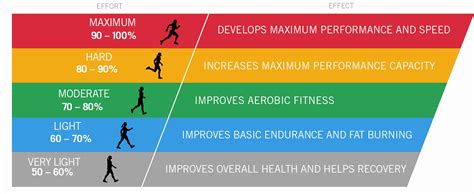 What is BPM in Physical Education?